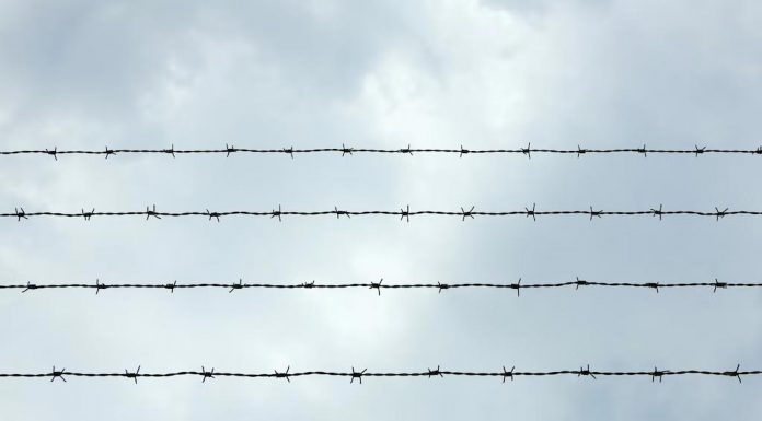 시드니, 29년동안 숨어있었던 탈옥자 designer_magdeburg