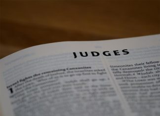 친 아들, 어머니 잔인하게 살해, 29년 징역형을 선고 Brett-jordan_unsplash