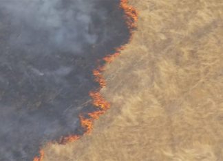 멜버른 북동쪽에서 불길과 싸우는 소방관들 Homes are under threat from a fierce fire burning at Flowerdale north-east of Melbourne. (Nine)