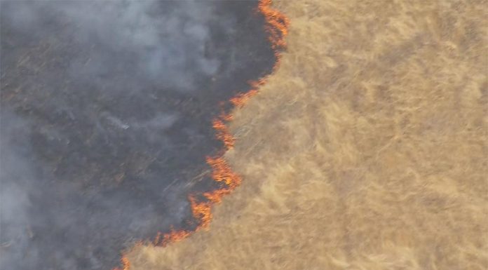 멜버른 북동쪽에서 불길과 싸우는 소방관들 Homes are under threat from a fierce fire burning at Flowerdale north-east of Melbourne. (Nine)