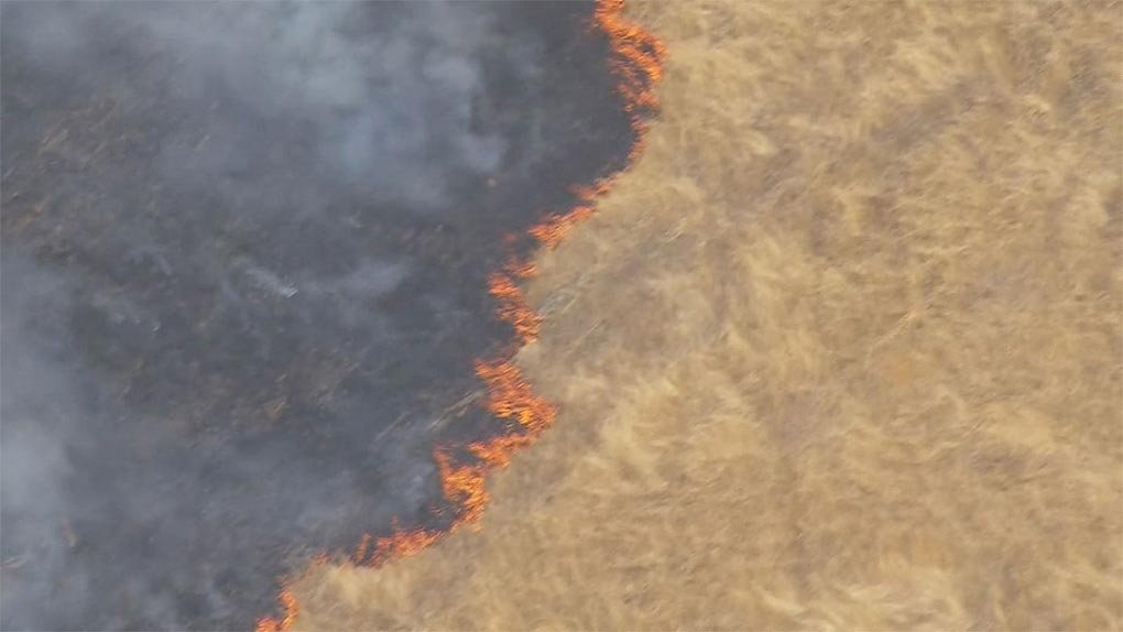 Homes are under threat from a fierce fire burning at Flowerdale north-east of Melbourne. (Nine)