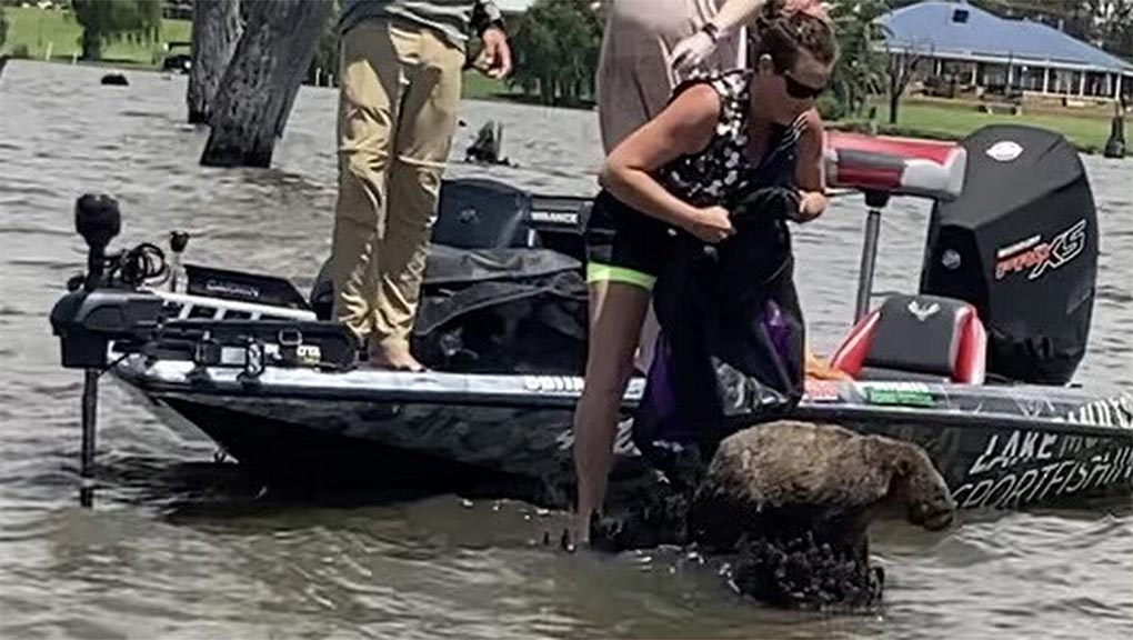 The animal was spotted by a local resident while fishing over the weekend on Lake Mulwala. (Dutch Thunder Wildlife Shelter)