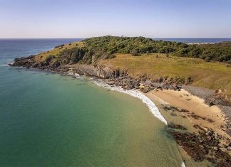 NSW 해변에 좌초된 참돌고래, 안락사 당하기 전 자연사 The whale was found with a small shark bite however the cause of death hasn't been determined yet. (NSW National Parks and Wildlife)
