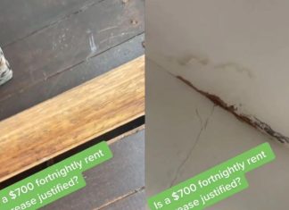 시드니 렌트비, 한 달에 1,400달러 가격 인상 Water damage on the properties ceiling with a crack running down the wall. Picture TikTok@chantellecschmidt