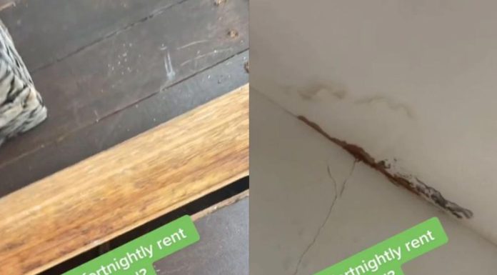 시드니 렌트비, 한 달에 1,400달러 가격 인상 Water damage on the properties ceiling with a crack running down the wall. Picture TikTok@chantellecschmidt
