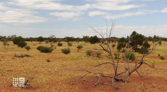 NSW, 대규모 국립공원 조성 A new national park is being created in New South Wales.The area is in the isolated north-west corner of the state, around 900 kilometres north west of Sydney. (Nine)