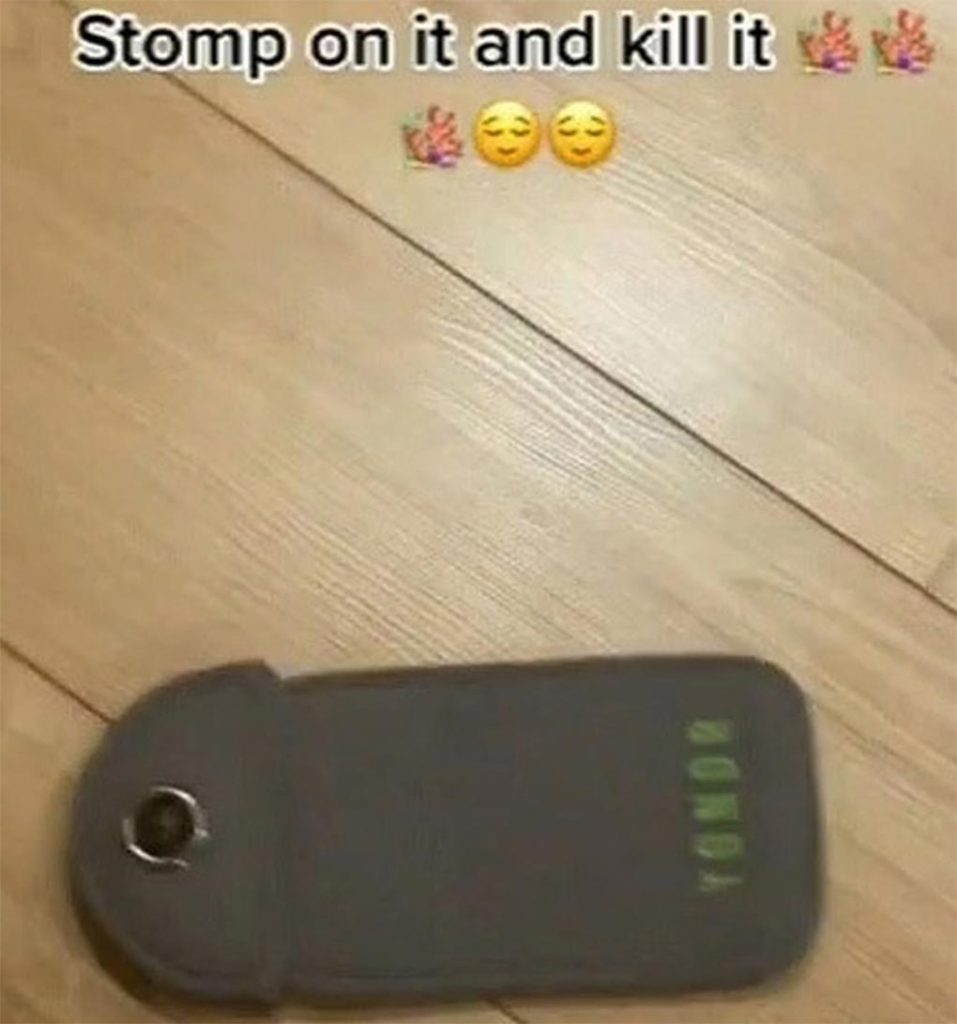 A social media image of a phone in a locked case, saying 'stomp on it and kill it'. (Nine)