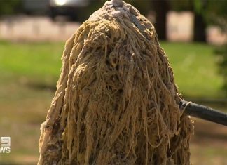 호주 도시의 수도 파이프를 막고 있는 역겨운 ‘팻버그’와 ‘누더기’ A tangled mess of debris which is wrongly flushed, creating what's dubbed a 'rag'. (Nine)