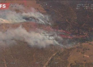 NSW 서부 긴급 산불 경고 : ‘떠나기엔 너무 늦었다’ Fire and Rescue NSW has issued two emergency bushfire warnings this afternoon on what has been a blisteringly hot day in the state. (RFS)
