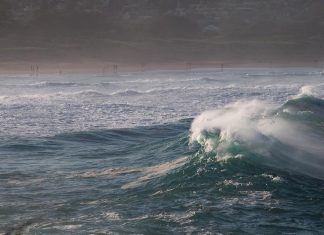 10대, 시드니 북부 해변에서 수영하다 사망 MICHALB-UNSPLASH