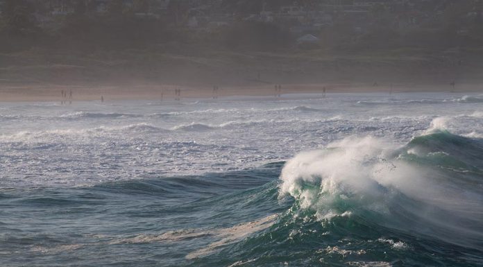 10대, 시드니 북부 해변에서 수영하다 사망 MICHALB-UNSPLASH