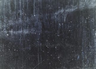 뉴카슬, 벽에 던져져 다리가 절단하게 된 생후 8주 된 강아지 PHILIPPE RAMAKERS- UNSPLASH