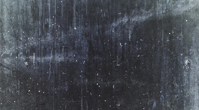 뉴카슬, 벽에 던져져 다리가 절단하게 된 생후 8주 된 강아지 PHILIPPE RAMAKERS- UNSPLASH