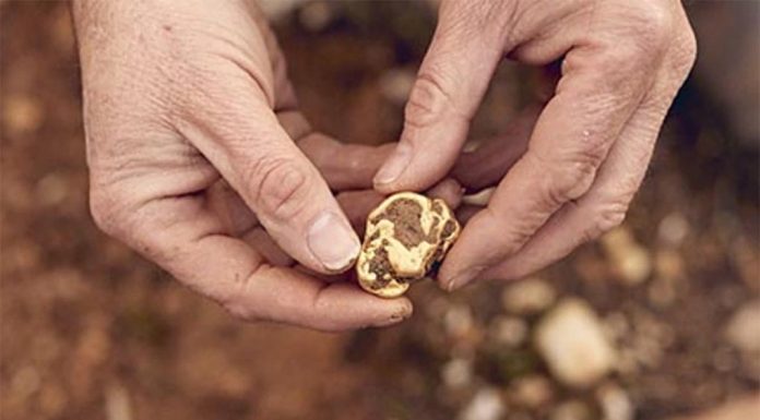 빅토리아 남성, 24만 달러의 금 덩어리 발견 Small nuggets of gold alone can reach up to $1000. Picture Lucky Strike Gold