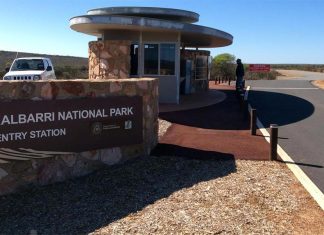 서호주 국립공원, 이뮤와 충돌한 오토바이 운전자 중상 The rider crashed in the Kalbarri National Park - Explore parks WA