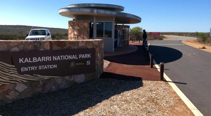 서호주 국립공원, 이뮤와 충돌한 오토바이 운전자 중상 The rider crashed in the Kalbarri National Park - Explore parks WA