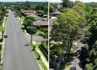 시드니 서부, 나무 부족으로 건강 경고 Two streets in the Western Sydney suburb of Toongabbie have been found to have a 20 degree difference - all because of extra shade. (Nine)