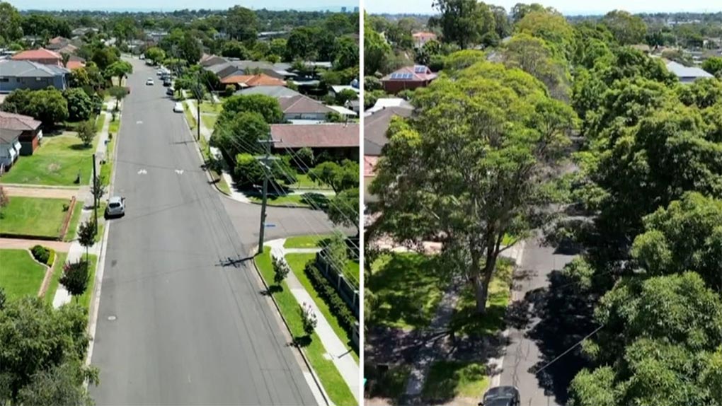 Two streets in the Western Sydney suburb of Toongabbie have been found to have a 20 degree difference - all because of extra shade. (Nine)