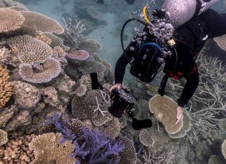 호주, 수중 유산에 대한 ‘약탈’ 경고 Undersea sites of cultural value are at risk from looters, a committee of Australian MPs warned. (Brook MitchellThe Sydney Morning Herald)