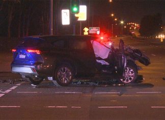 NSW ‘훔친 차’로 사고를 내고 경찰견에 물린 십대 소녀 기소 An allegedly stolen car crashed into a semi-trailer before five teenage girls fled, according to police. (9News)
