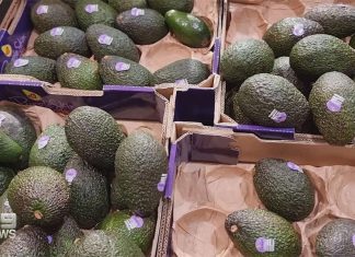 퀸즐랜드 아보카도 공급 과잉, 가격 하락 Avocado prices have dropped in supermarkets after a surplus in Queensland. (Nine)
