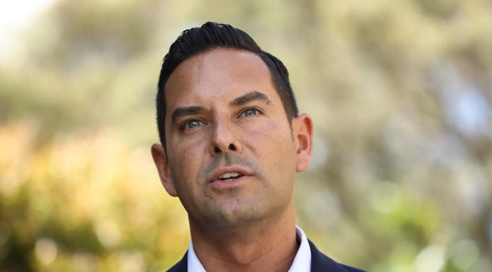 NSW 현금사용 불능 포커 머신 조기가동 Independent MP Alex Greenwich says he can work a majority Labor government.CREDITDOMINIC LORRIMER