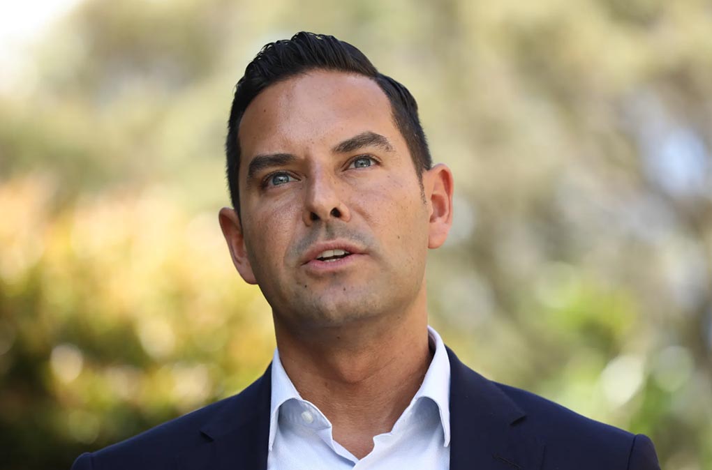 Independent MP Alex Greenwich says he can work a majority Labor government.CREDITDOMINIC LORRIMER