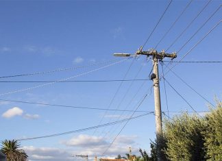 시드니 전봇대에 홍보물 붙인 NSW 선거 후보들 벌금 More than 1700 campaign signs have been removed from power poles and candidates are facing fines. (Getty ImagesiStockphoto)