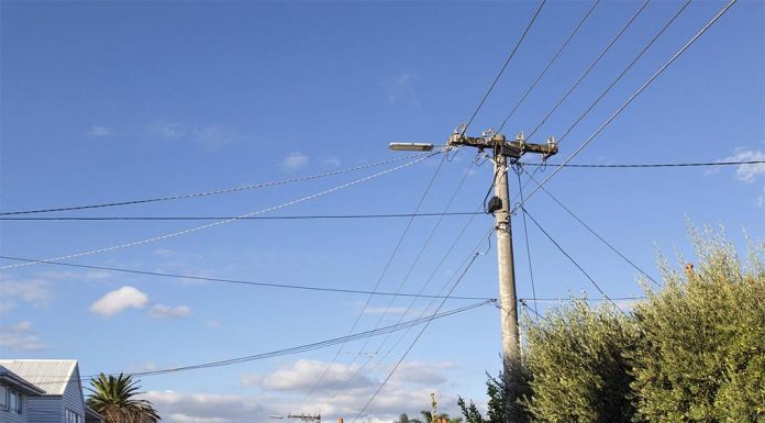 시드니 전봇대에 홍보물 붙인 NSW 선거 후보들 벌금 More than 1700 campaign signs have been removed from power poles and candidates are facing fines. (Getty ImagesiStockphoto)
