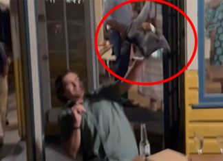 NSW, 결혼식 파티 박쥐 등장 Turning things upside down at Hardy's Bistro on the NSW Central Coast was a bat, which zeroed in on the Lee family during pre-wedding drinks on Thursday night. (Nine)