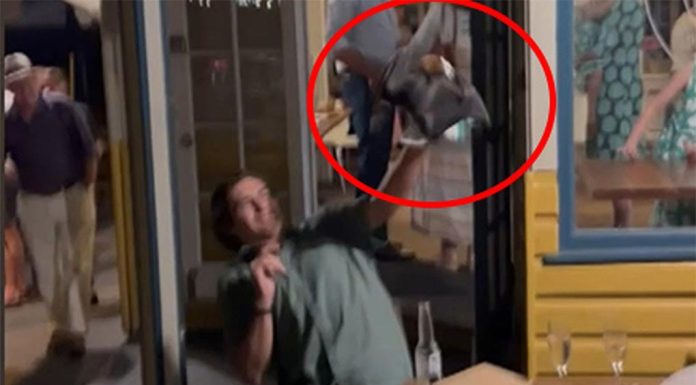 NSW, 결혼식 파티 박쥐 등장 Turning things upside down at Hardy's Bistro on the NSW Central Coast was a bat, which zeroed in on the Lee family during pre-wedding drinks on Thursday night. (Nine)