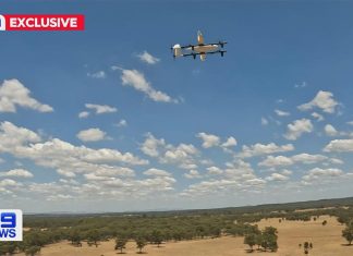 NSW 서핑 인명 구조대(Surf Life Saving NSW), 새로운 장거리 드론 시험 운영 Drone technology is rapidly advancing, and Surf Life Saving NSW is now looking to harness it to help in emergencies and patrols. (Nine)