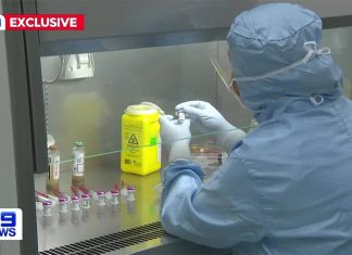 시드니, 1회 투여에 500만 달러 상당 치료제로 혈우병 치료 Patients with Haemophilia B lack the F9 gene, a protein that helps blood clot, leading to excessive bleeding and damage to joints. (9News)