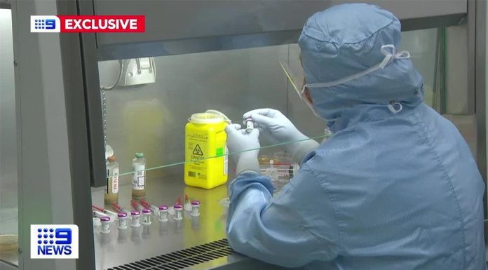 시드니, 1회 투여에 500만 달러 상당 치료제로 혈우병 치료 Patients with Haemophilia B lack the F9 gene, a protein that helps blood clot, leading to excessive bleeding and damage to joints. (9News)