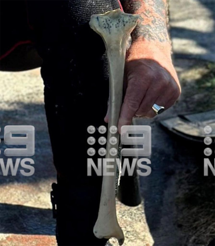 The bone was found by a scuba diver on May 6. (9News)