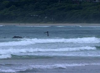시드니 바이런 베이 해변, 스쿠버 다이버가 사람 뼈를 발견 The shipwreck can be seen poking out of the waves at Belongil beach. (9News)