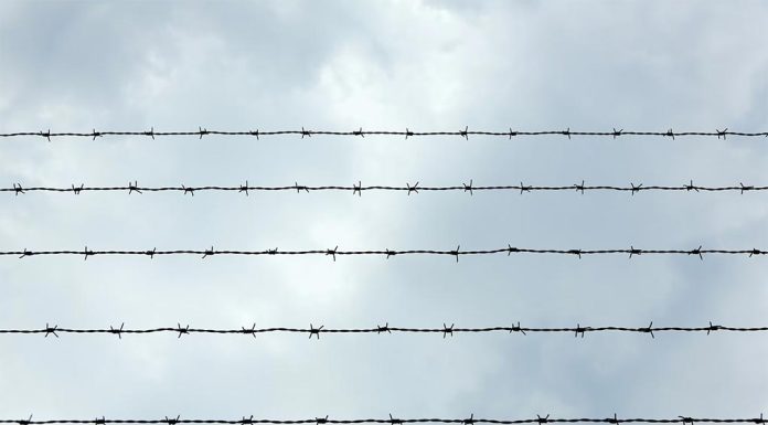 NSW 갱단 살인 공범, 감옥에 갇히다. Robert klank_designer_magdeburg_unsplash