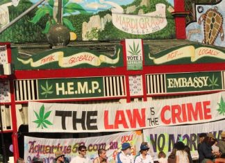 NSW, 소량의 대마 재배 합법화 추진 A National Drug Household Survey conducted in 2019 found more Australians supported than opposed the legalisation of cannabis. Picture Facebook
