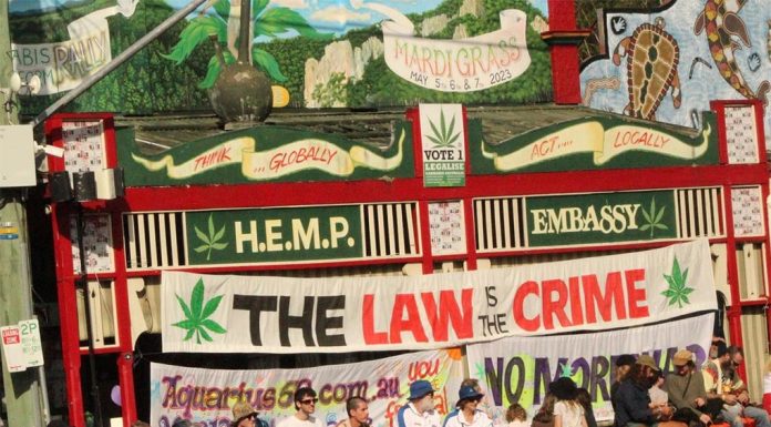 NSW, 소량의 대마 재배 합법화 추진 A National Drug Household Survey conducted in 2019 found more Australians supported than opposed the legalisation of cannabis. Picture Facebook