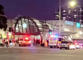 십대 5명, 맥쿼리파크 기차역 주변에서 칼부림 혐의로 기소 A teenage boy has been allegedly stabbed at Macquarie University train station in Sydney. (9News)