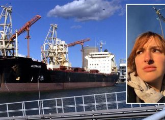 호주 석탄 반대 운동가들, 3개 주에서 항구 봉쇄 An activist has shut down coal operations at the Port of Newcastle by attaching herself to a bridge. (Nine)