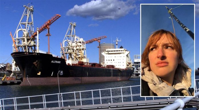호주 석탄 반대 운동가들, 3개 주에서 항구 봉쇄 An activist has shut down coal operations at the Port of Newcastle by attaching herself to a bridge. (Nine)