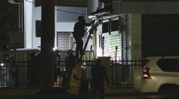 수배 중이던 남성, 시드니 자택서 네일건으로 경찰 위협 혐의 Police were allegedly threatened with a nail gun as they arrested a man in South Granville. (Nine)