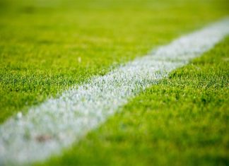 알려지지 않은 규칙을 위반한 시드니 축구 선수, 7년간 지역 대회 출전 금지 SANDRO SCHUH-UNSPLASH