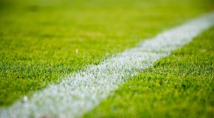 알려지지 않은 규칙을 위반한 시드니 축구 선수, 7년간 지역 대회 출전 금지 SANDRO SCHUH-UNSPLASH