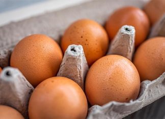 호주, 달걀 한 판에 15달러까지? Closeup macro of pasture raised farm fresh dozen brown eggs store bought from farmer in carton box container with speckled eggshells texture (Getty ImagesiStockphoto)