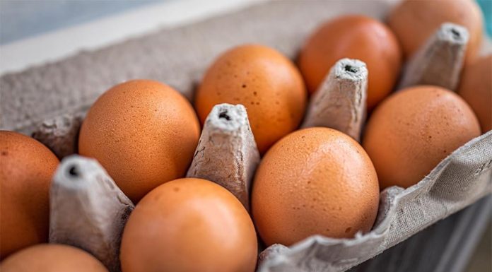 호주, 달걀 한 판에 15달러까지? Closeup macro of pasture raised farm fresh dozen brown eggs store bought from farmer in carton box container with speckled eggshells texture (Getty ImagesiStockphoto)