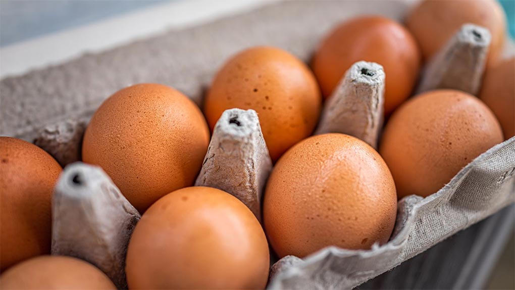 Closeup macro of pasture raised farm fresh dozen brown eggs store bought from farmer in carton box container with speckled eggshells texture (Getty ImagesiStockphoto)