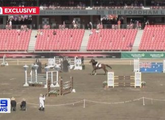 올림픽 승마 선수, NSW에서 은인과 재회 Olympic equestrian Vicki Roycroft fell from her horse at the Sydney Royal Easter Show. (Nine)