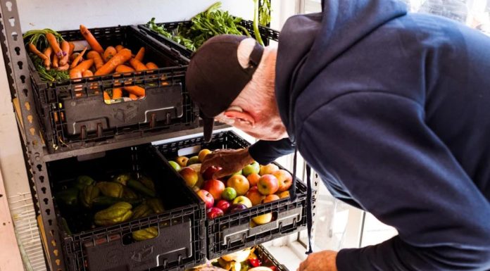 호주 기대 수명 소폭 증가 여성85.4 남성 81.3세 Only 4 per cent of men are hitting their target of five serves of vegetables each day, a new national report reveals. CREDITJAMES BRICKWOOD